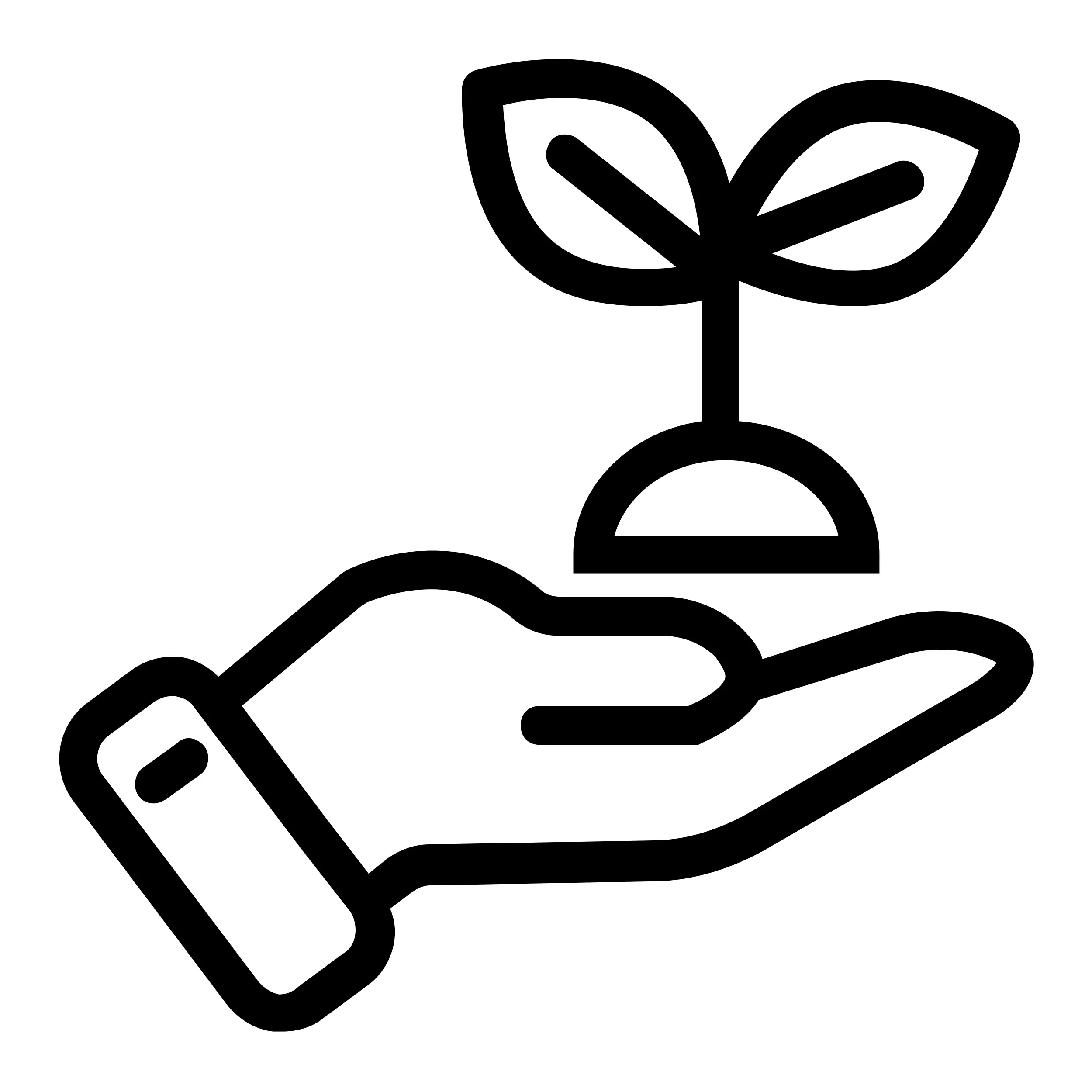 Environmental Safety Icon